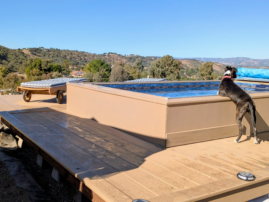 Brindle puppy lounges on edge of pool taking in the infinity view with retro-looking lounge chairs positioned on the pool deck.