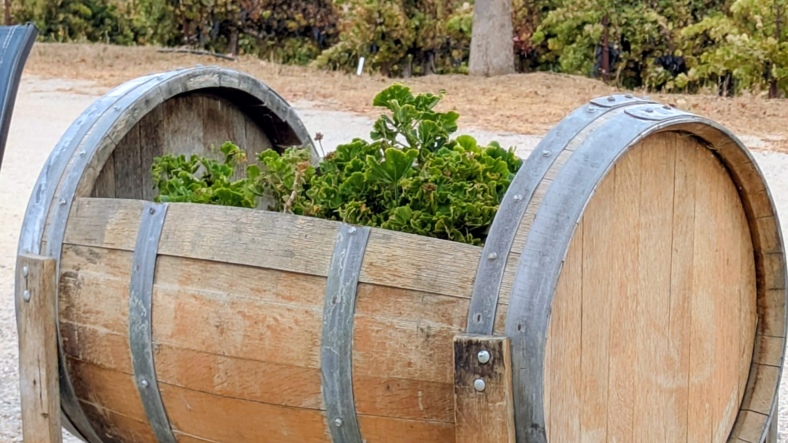A winery with old-school hospitality