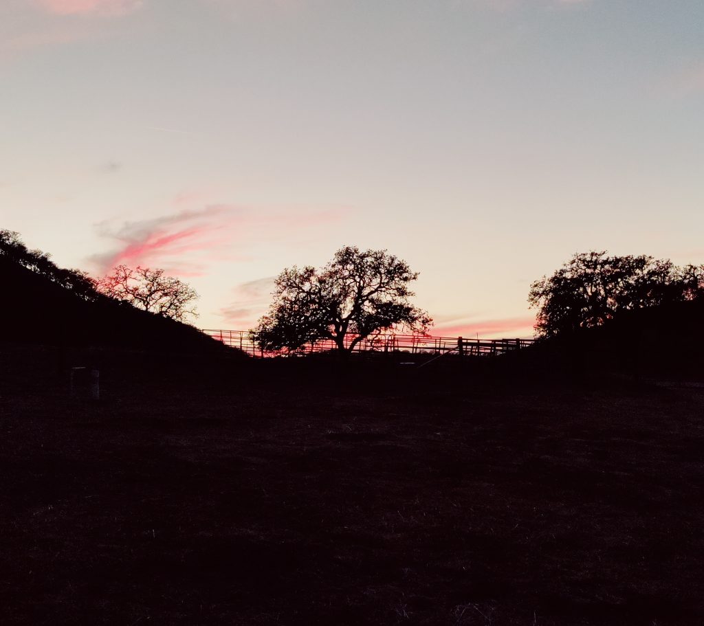 IMG 20221122 170749