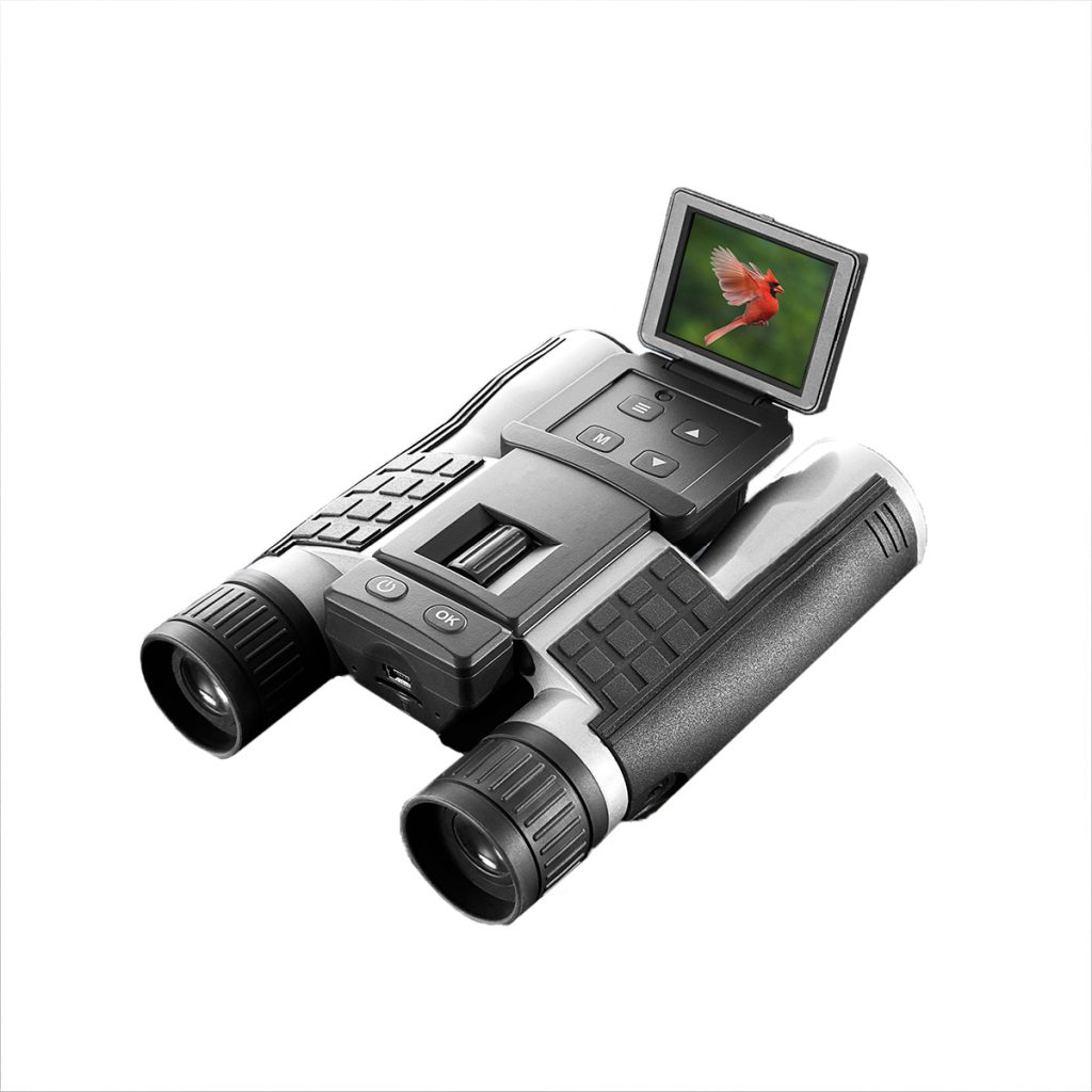 207051 g1