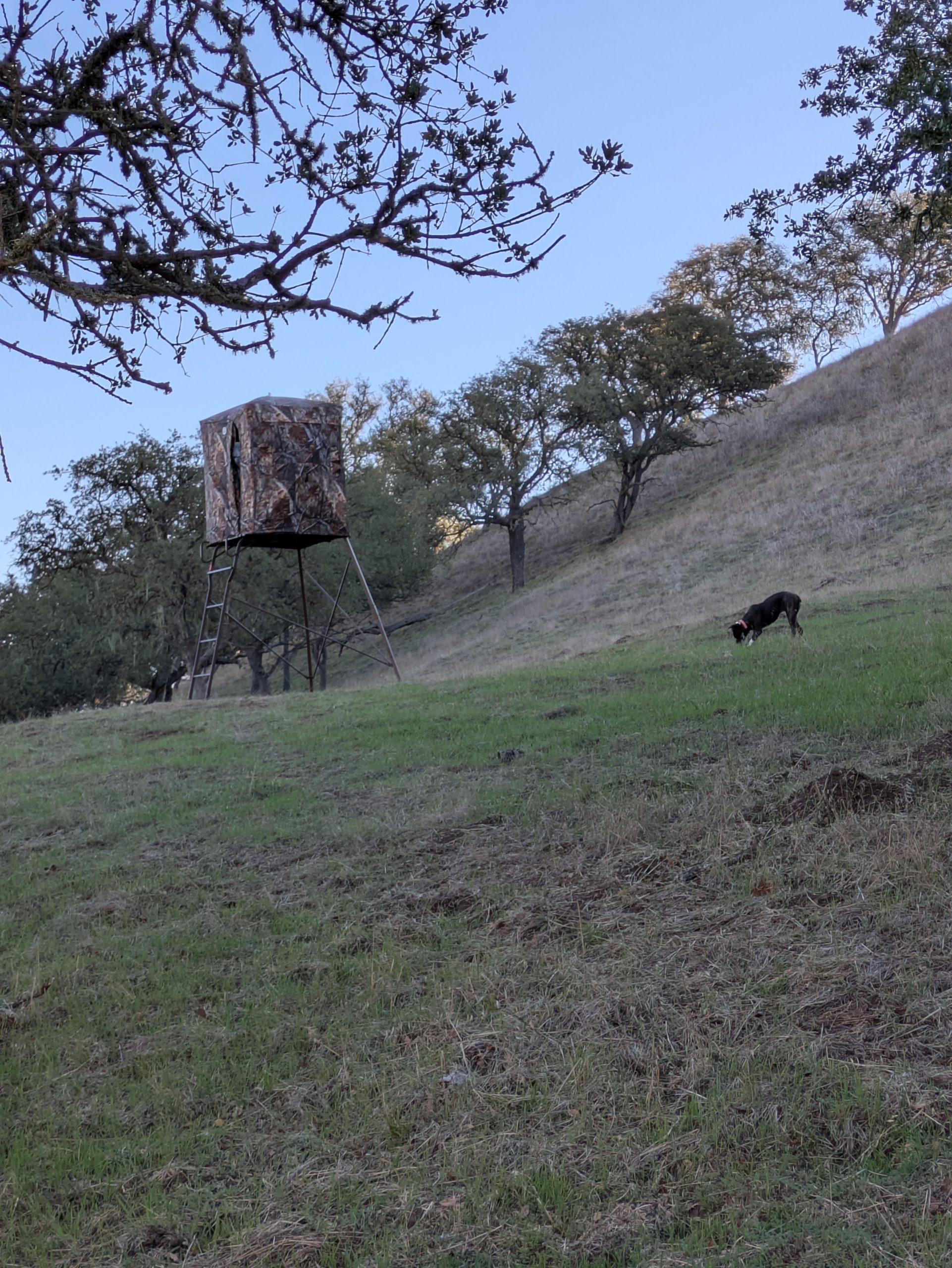 Wildlife Photography Tents: What Actually Works on Our Ranch