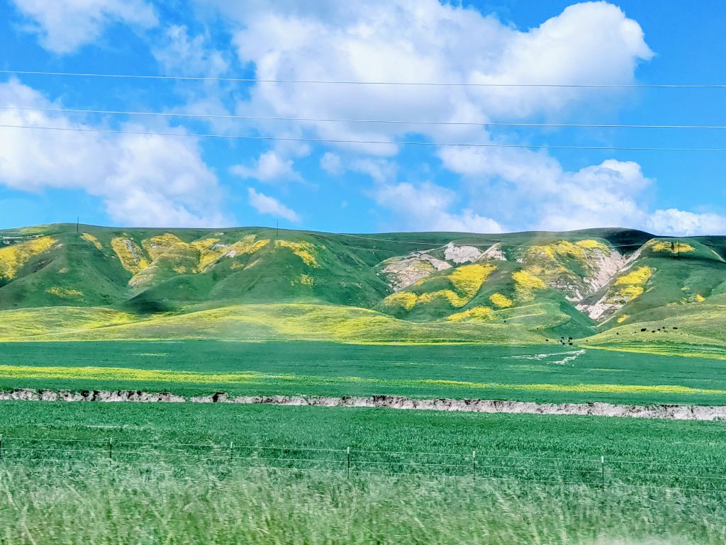 fb733c87 b44c 4d96 8ade 62b2f34621ef1 1