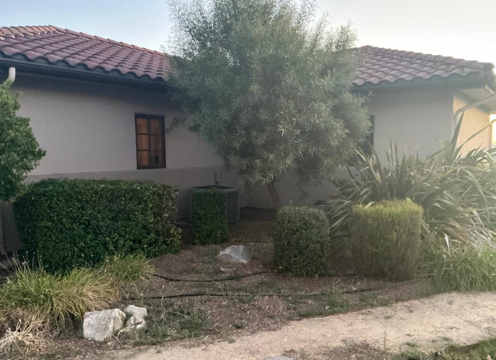 House with garden and shrubs.